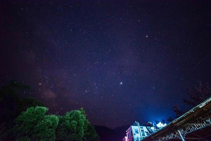 逃出林中村